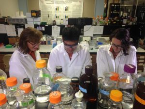 lab members assessing blood specimens