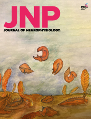 Cover image of Fatigue-related changes in intermuscular electromyographic coherence across rotator cuff and deltoid muscles in individuals with and without subacromial pain