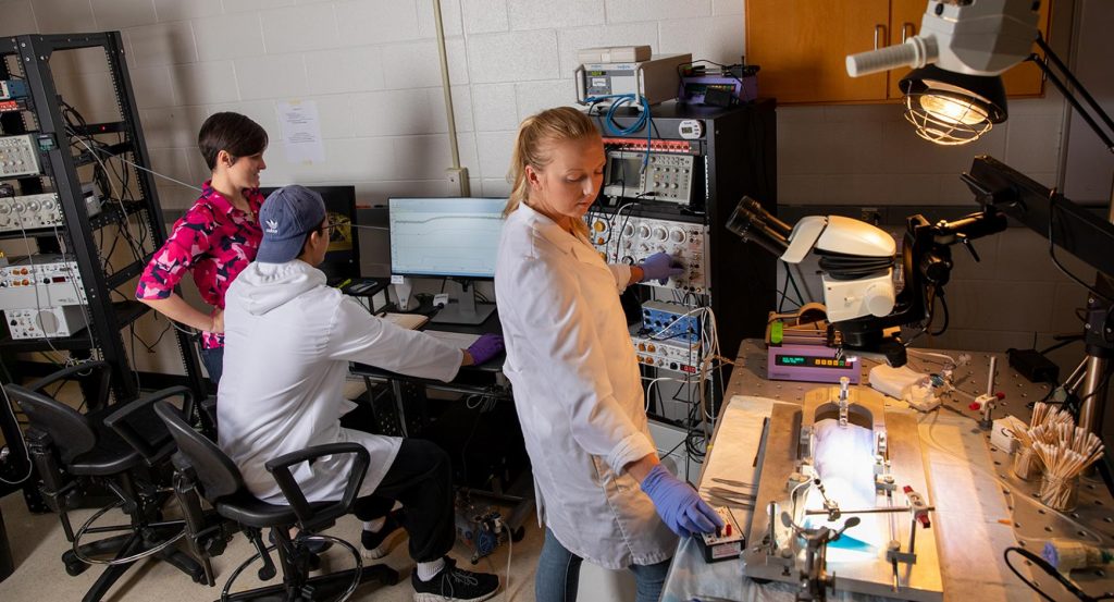 Dr. Audrey Stone works with students in her lab. 
